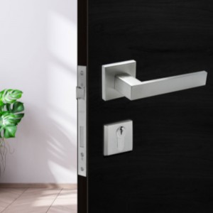 F5450 Glas Mortise Luas le Cruach Dhosmálta, LÁITHREÁN LÉIREACHT IONTRÁLA LOCK